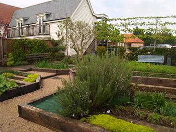 Grow Vegetables | Vegie Garden Design